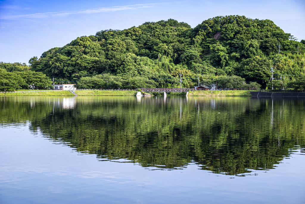 5月の散歩道