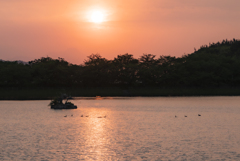 いつもの池の夕暮れ