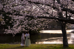 桜の樹の下で