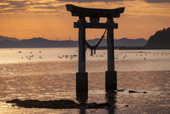 鳥居と飛び立つ鴨