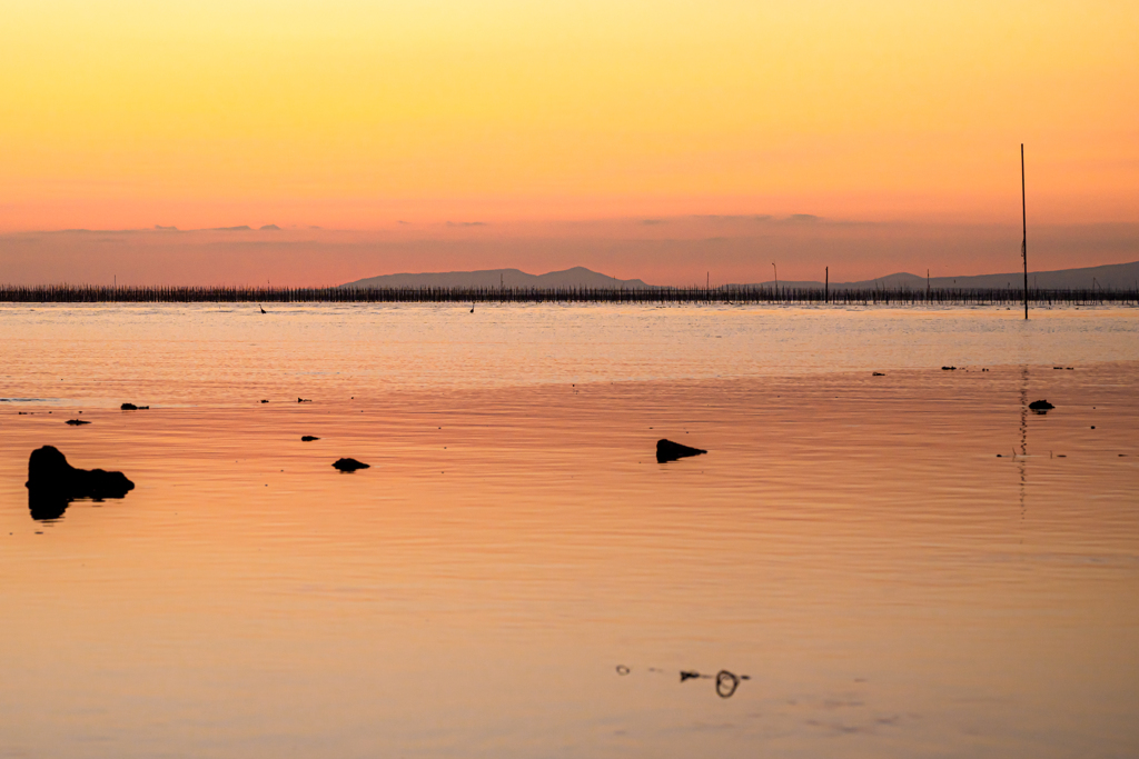 夕日に染まる干潟の海