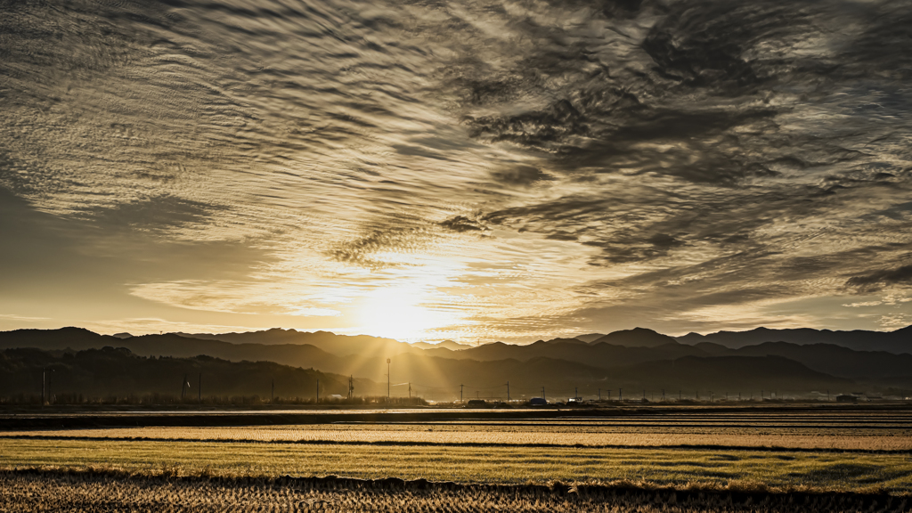 通勤途上の朝景
