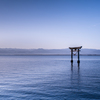 朝の海の鳥居