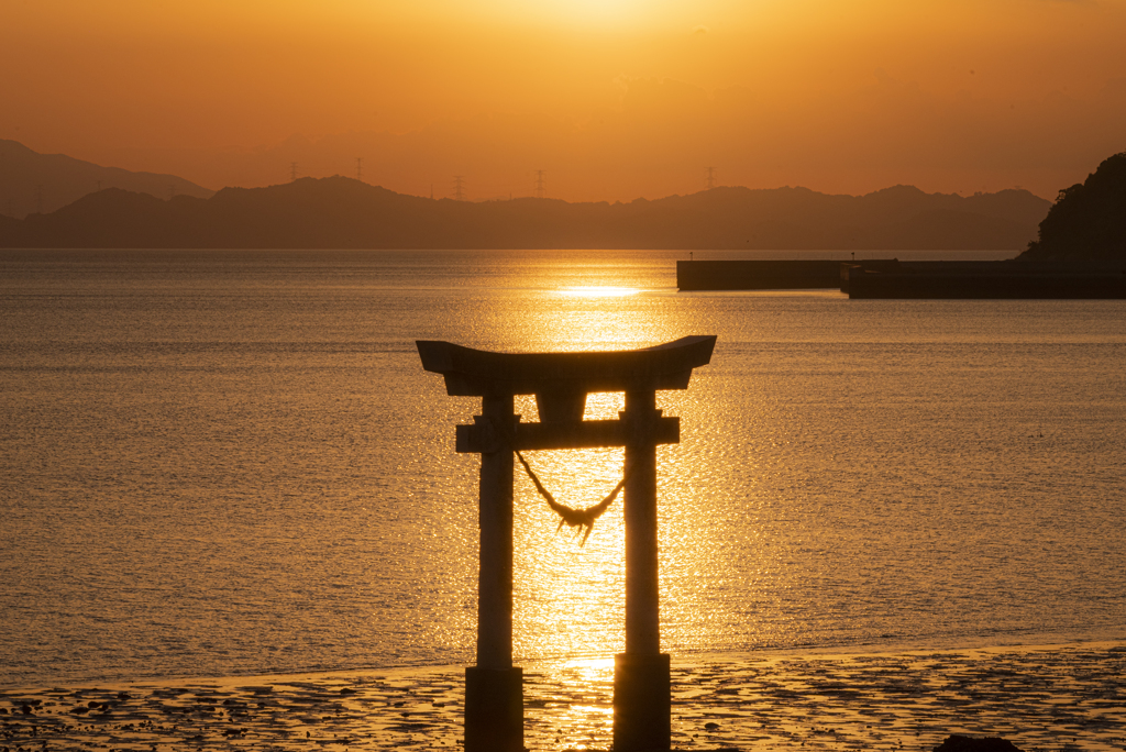 染まる海と鳥居