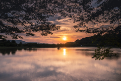 夕暮れに染まる池