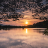 夕暮れに染まる池