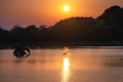 散歩道の夕日