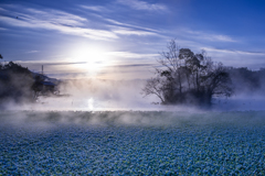 朝霧の浮島神社