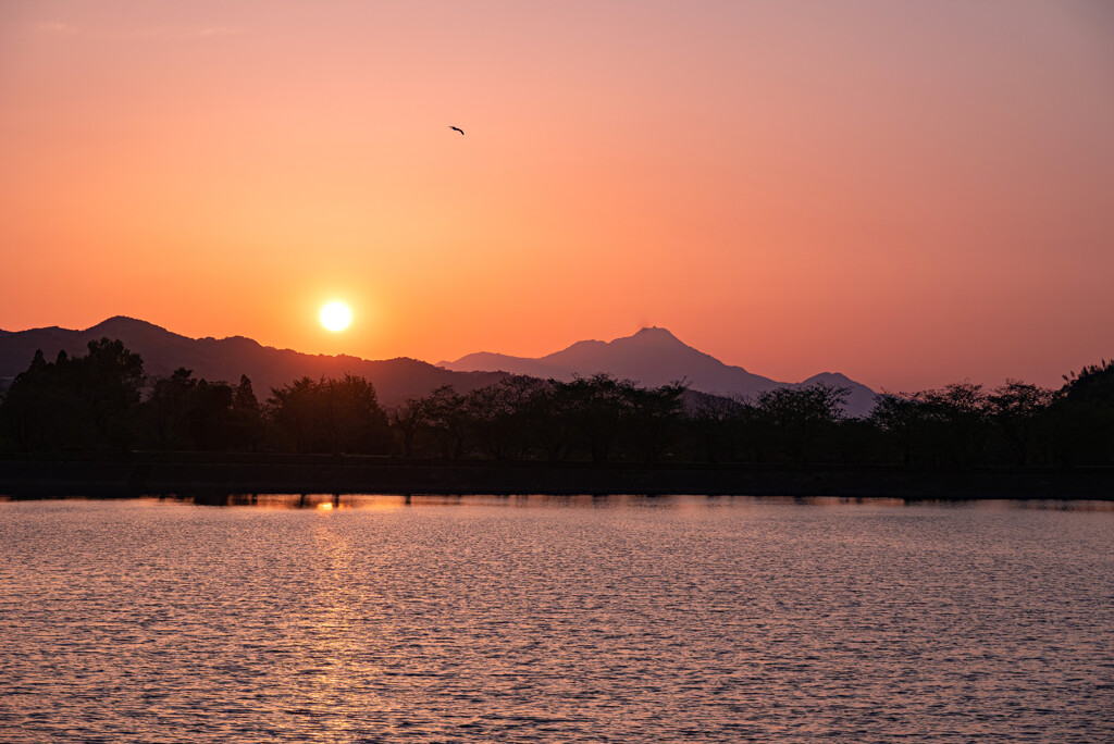 立岡池の夕日