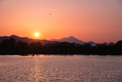 立岡池の夕日