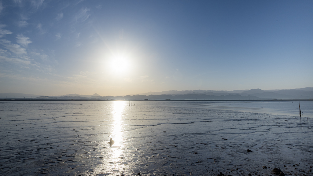 朝日に輝く干潟