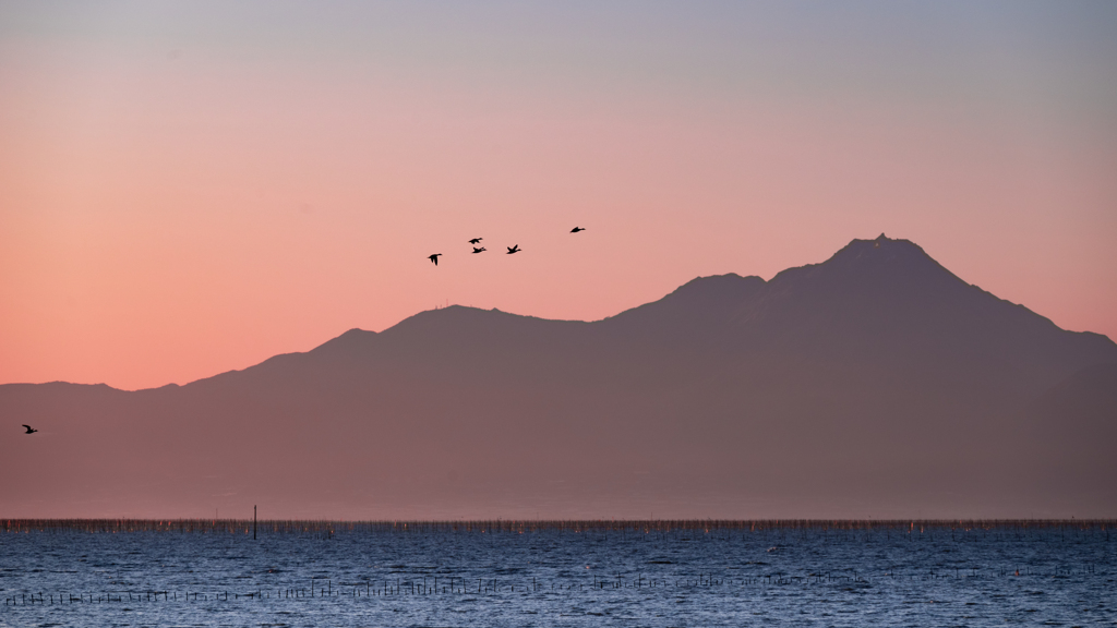 渡り鳥と雲仙普賢岳