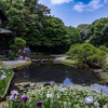 庭園の散策