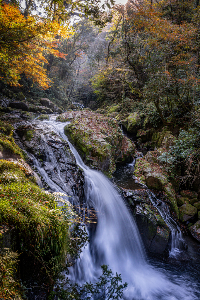 渓谷の秋