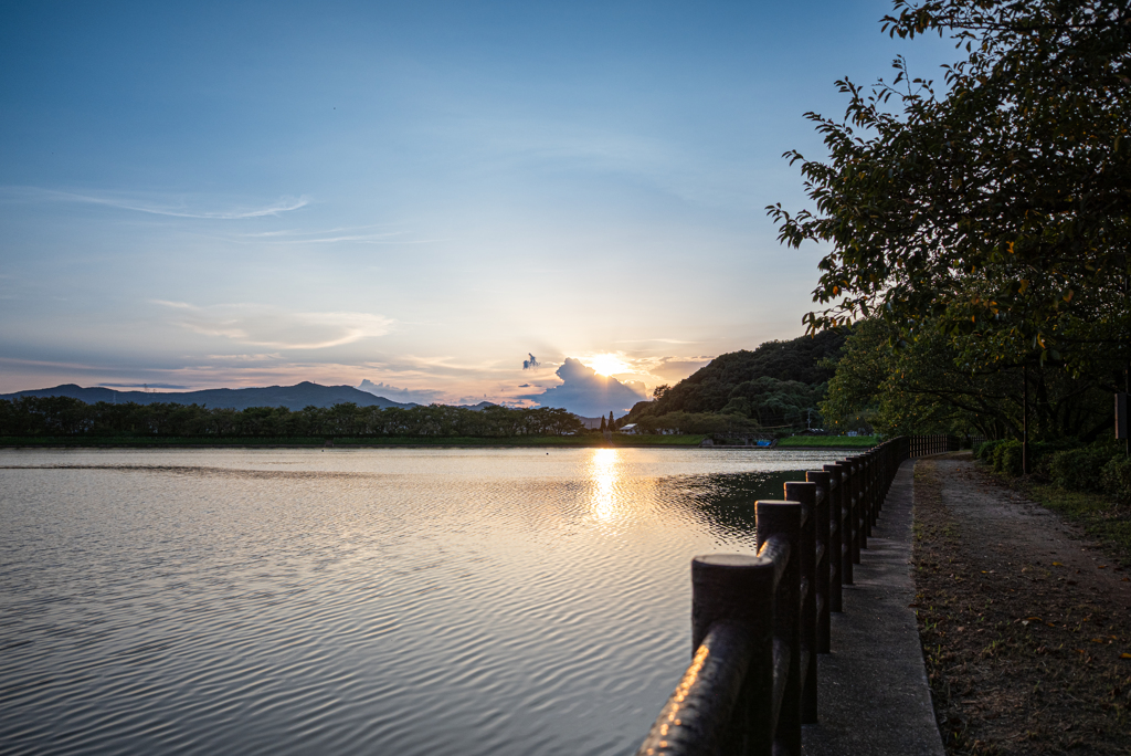 夕暮れ散歩道