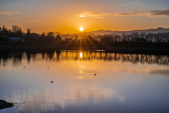 夕日の湖面に浮かぶ水鳥と波紋