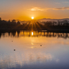 夕日の湖面に浮かぶ水鳥と波紋