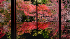 環境芸術の森