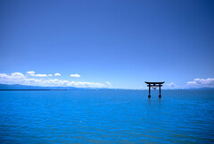海の鳥居