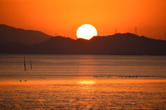 不知火海の夕日