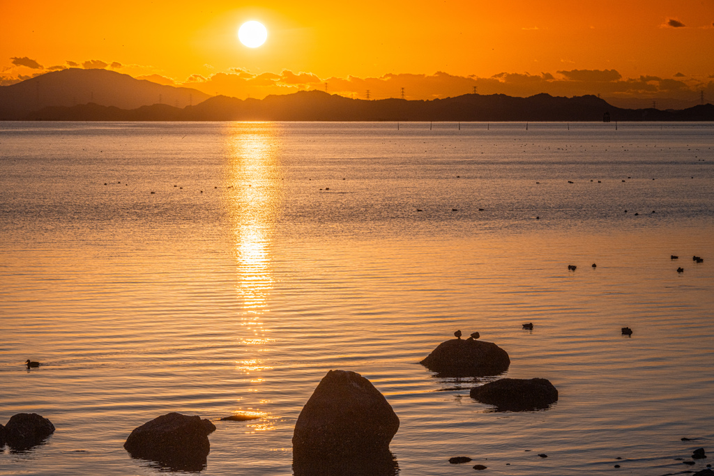 不知火海の夕日と水鳥たち