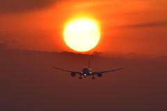 夕日と飛行機