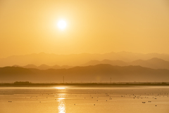 山並みと水鳥の朝