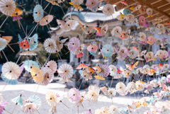 傘みくじと武雄神社