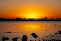 オレンジに染まる海と夜を待つ水鳥たち