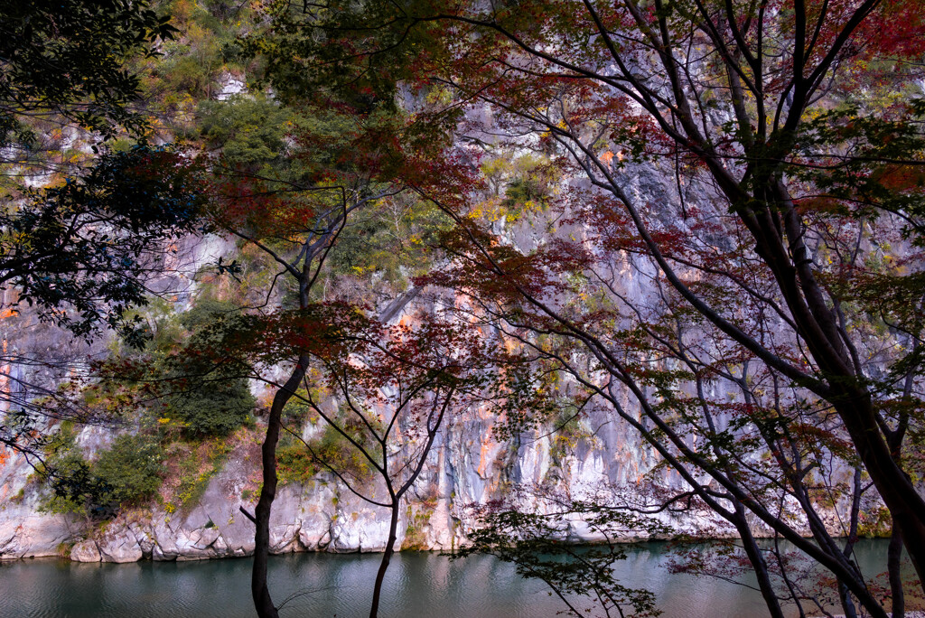 渓谷と紅葉