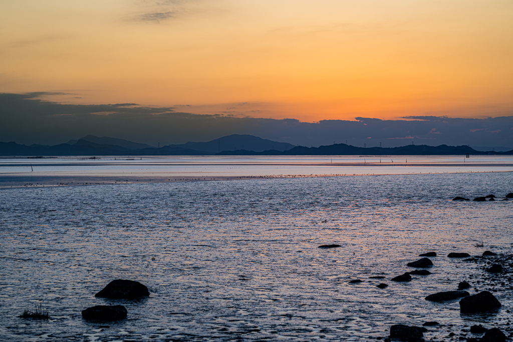 残照の干潟と海