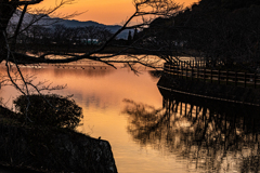 夕暮れの池に見つけたシルエット