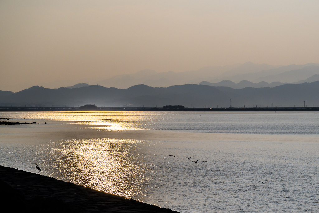 キラキラ海と鳥たちと山並み