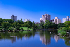 水の都