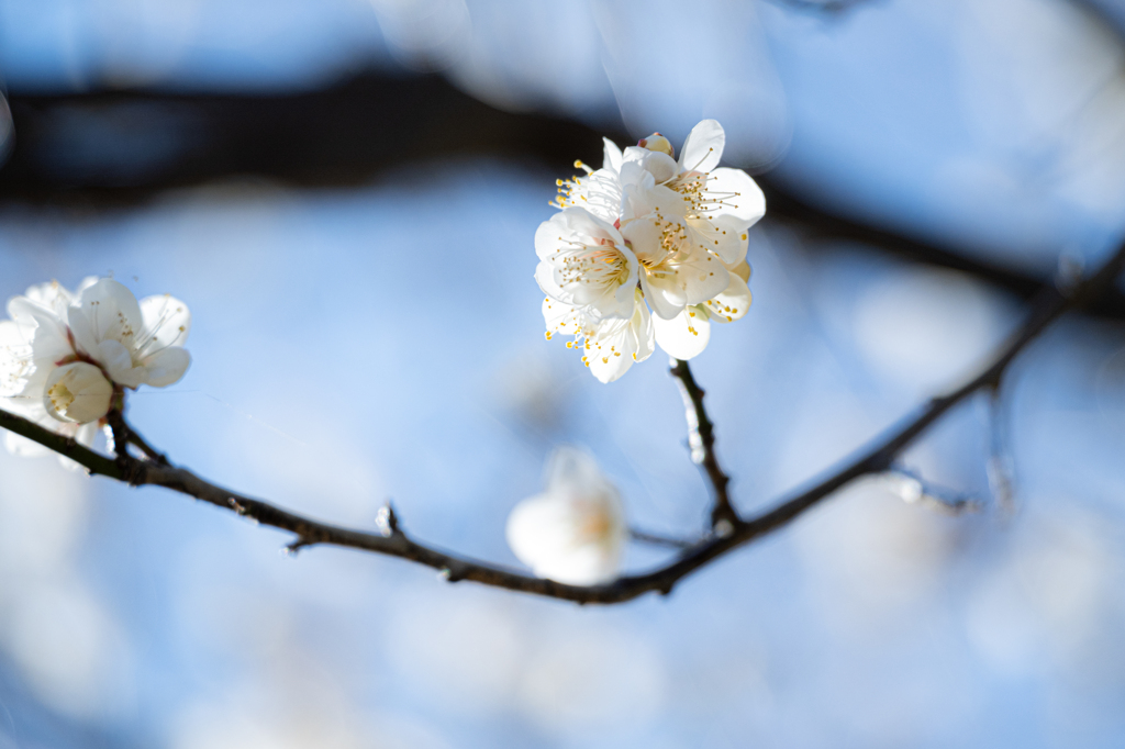春の光に包まれて
