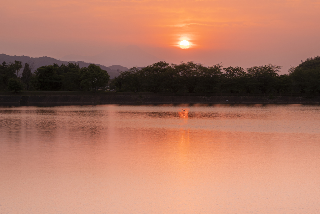 いつもの池の夕日