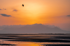 雲に沈んだ夕日と染まる干潟