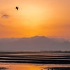 雲に沈んだ夕日と染まる干潟