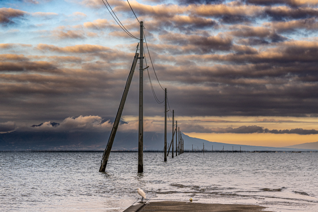 小鷺と海床路と朝焼けの雲