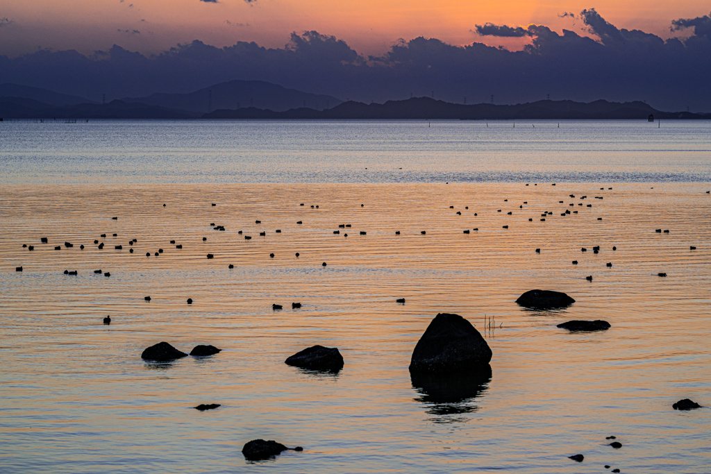 残照の不知火海と夜を待つ水鳥たち
