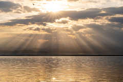 朝日射す山並みと染まる海