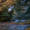渓流の奥へと
