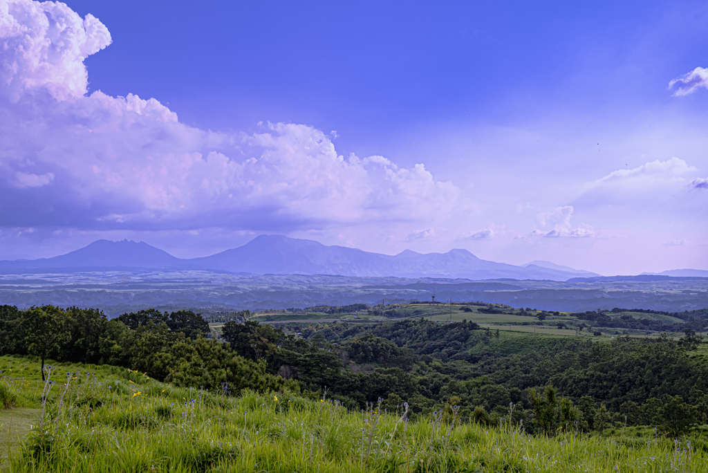 夏の高原