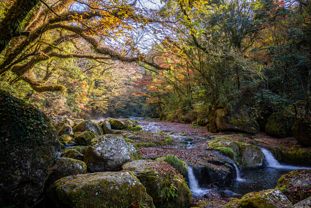 晩秋の渓谷
