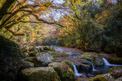 晩秋の渓谷