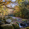 晩秋の渓谷