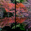 紅葉のリフレクション