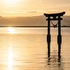 黄金色にきらめく海と鳥居
