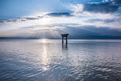 朝日射す、海の鳥居