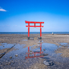 潮溜まりと海中鳥居